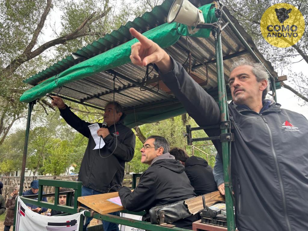 Arribere, Ugarte y Cía